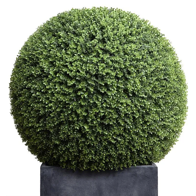 Boxwood Ball 39" in Fiberglass Cube Planter