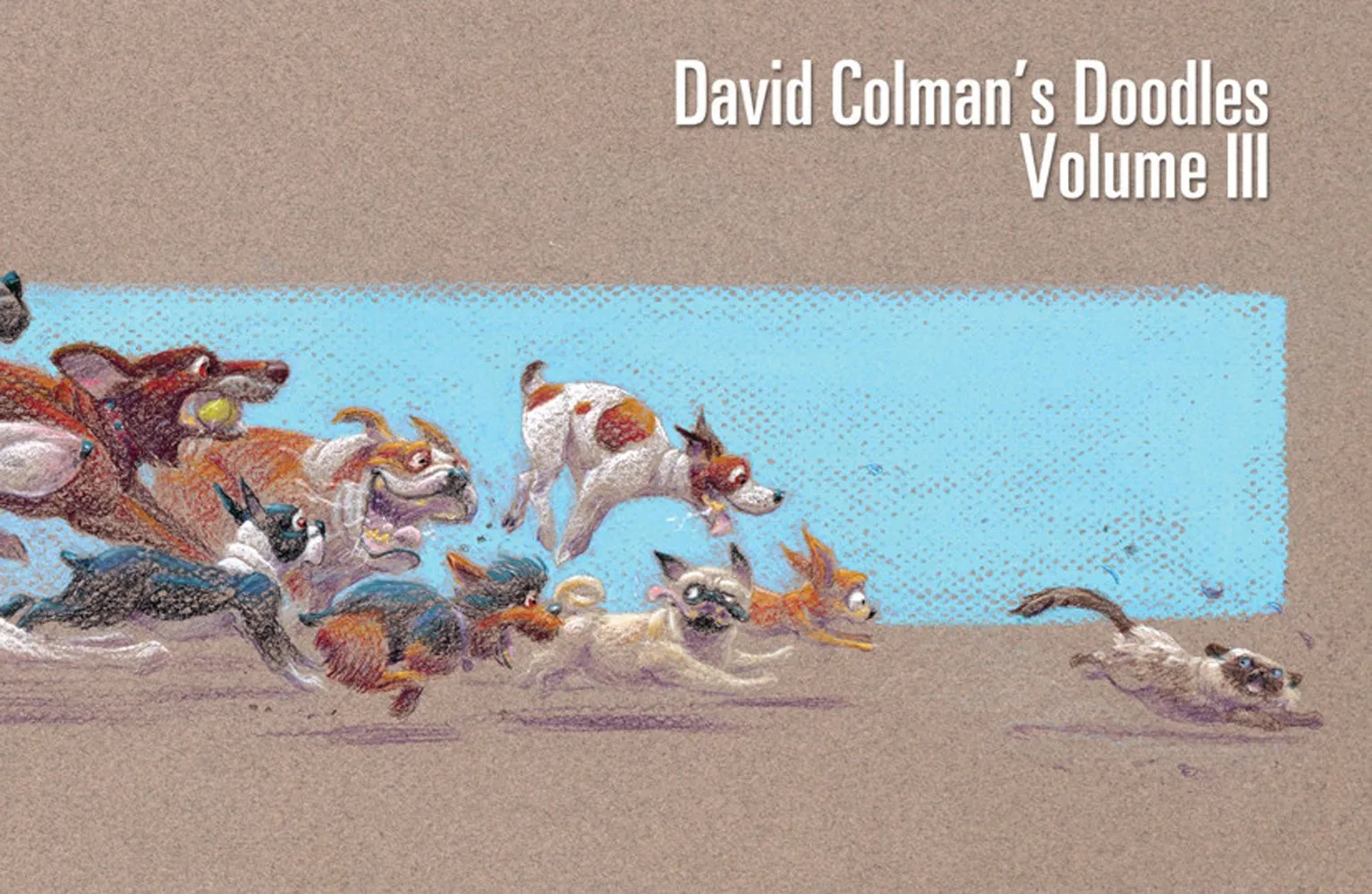 David Colman's Doodles Volume 3 SIGNED